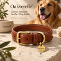 HeritageStitch™ Leather Dog Collar lifestyle image